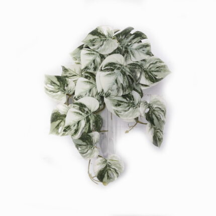 Supergreens Τεχνητή Κρεμαστή Μονστέρα Albo Variegata Πράσινη 45 εκ.