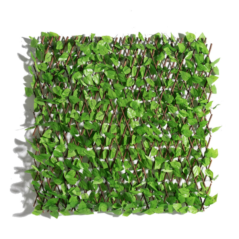 Supergreens Τεχνητή Φυλλωσιά Πτυσσόμενη Φίκος Benjamin 100x200 εκ.
