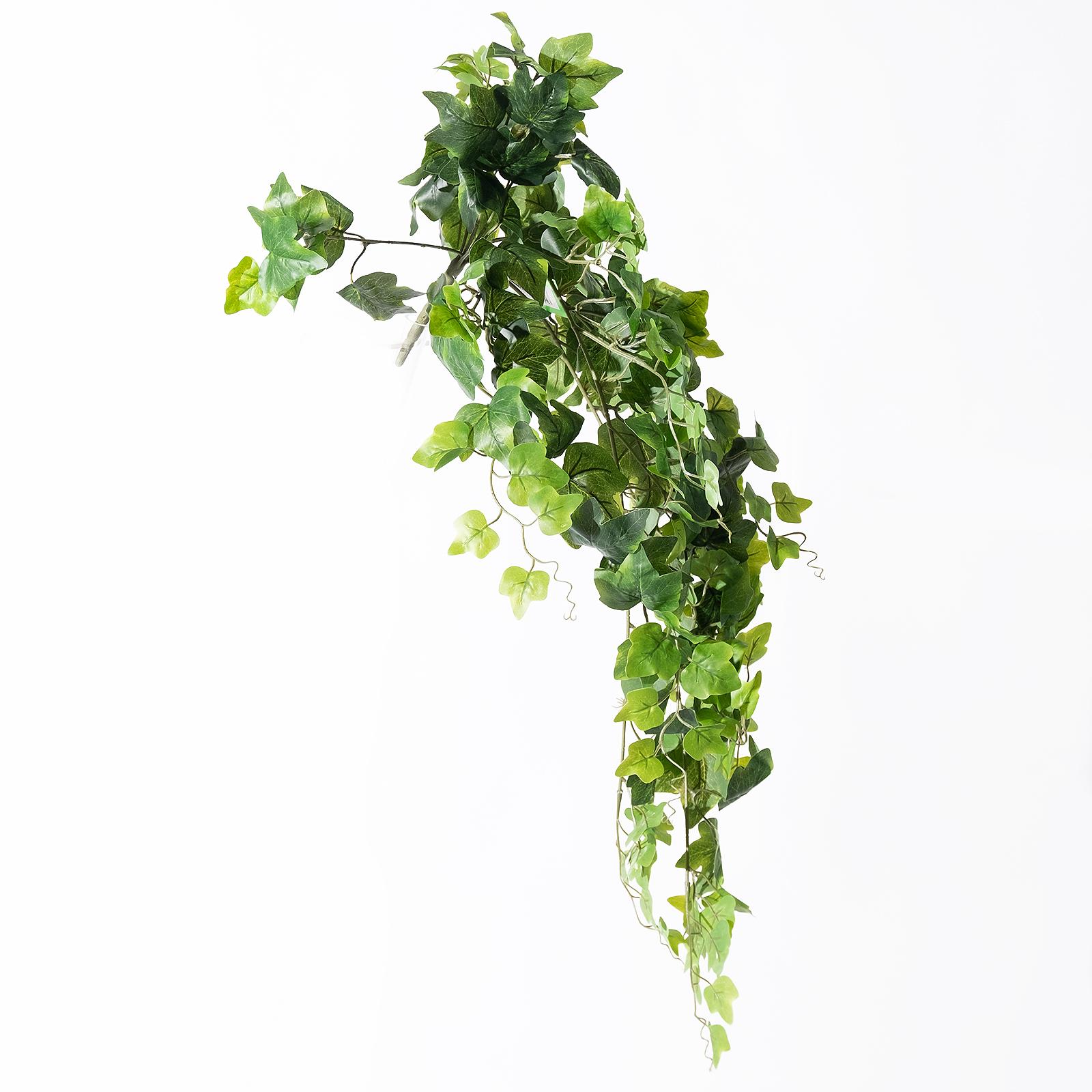 Supergreens Τεχνητός Κρεμαστός Κισσός "Hedera Helix" Πράσινος 90 εκ. Supergreens Τεχνητός Κρεμαστός Κισσός "Hedera Helix" Πράσινος 90 εκ.