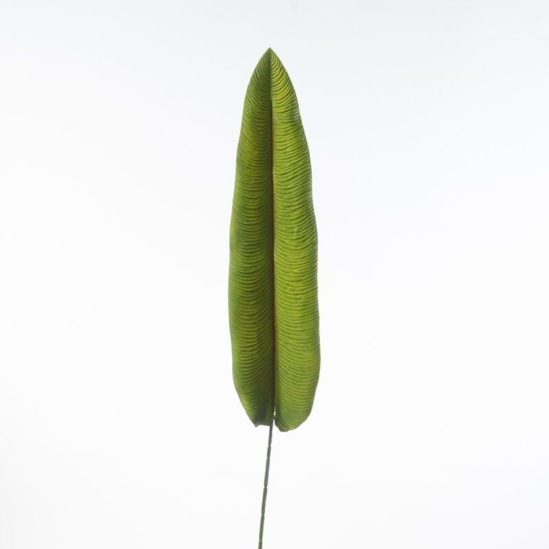 Supergreens Τεχνητό Φύλλο Πουλί του Παραδείσου "Strelitzia Nicolai" Πράσινο 103 εκ.