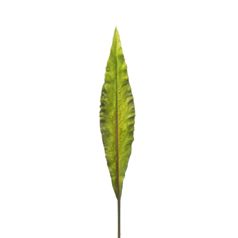 Supergreens Τεχνητό Φύλλο Φτέρη "Asplenium" Πράσινο 86 εκ.