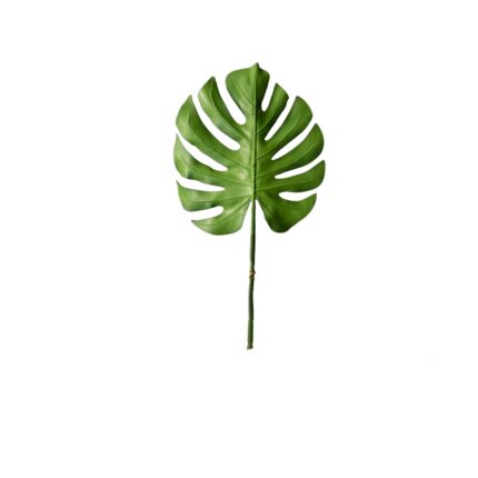 Supergreens Τεχνητό Φύλλο Μονστέρα Καφέ 71 εκ.
