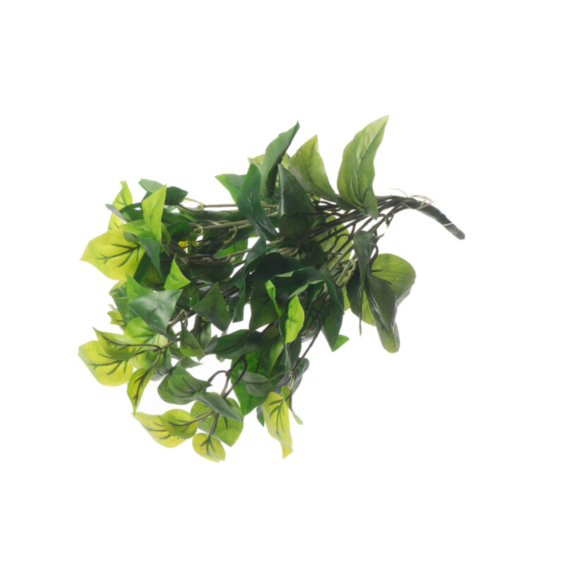 Supergreens Τεχνητός Χωνευτός Φίκος "Ginseng" Πράσινος 45 εκ.