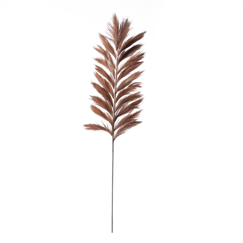 Supergreens Τεχνητό Κλαδί Pampas "Pilosa" Καφέ 120 εκ