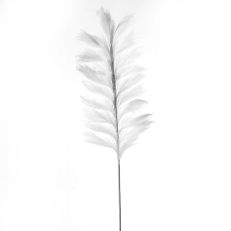 Supergreens Τεχνητό Κλαδί Pampas "Pilosa" Λευκό 120 εκ..
