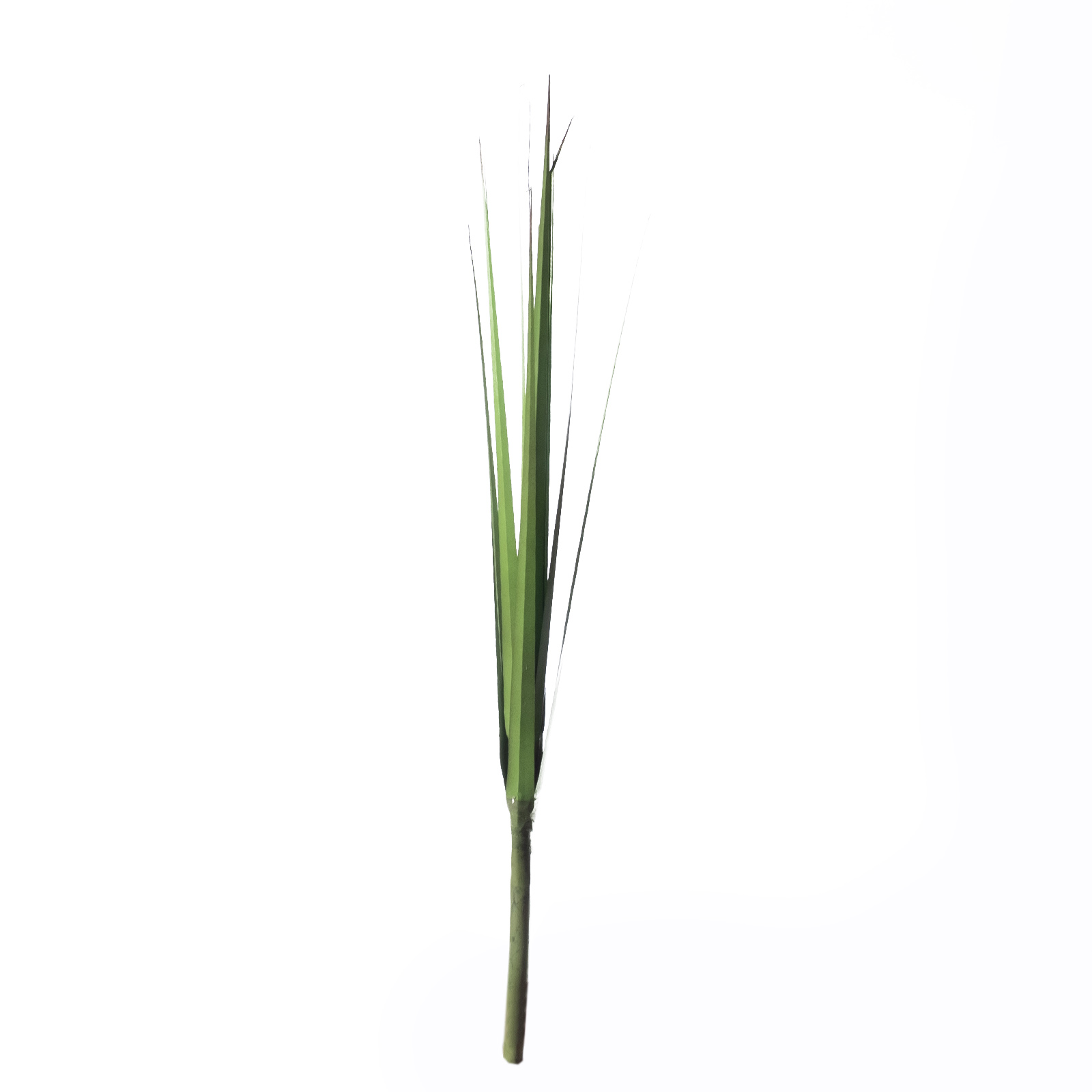 Supergreens Τεχνητός Χωνευτός Πάπυρος "Cyperus" Πράσινος 88 εκ. Supergreens Τεχνητός Χωνευτός Πάπυρος "Cyperus" Πράσινος 88 εκ.