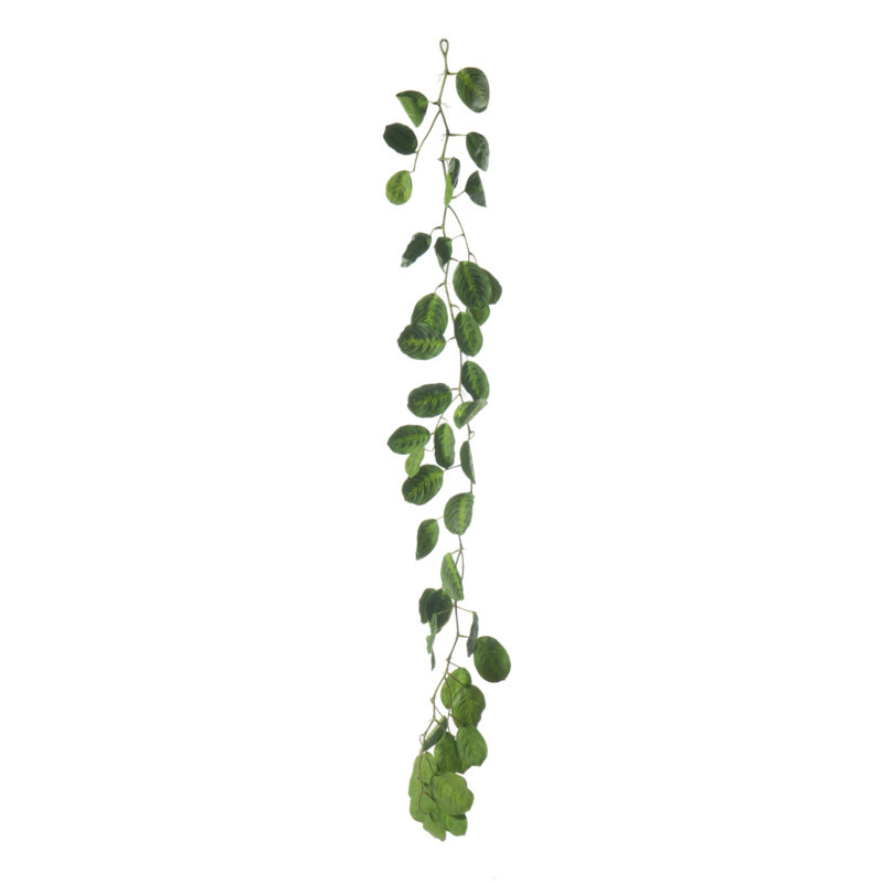 Supergreens Τεχνητή Γιρλάντα Καλαθέα "Maranta" Πράσινη 170 εκ.