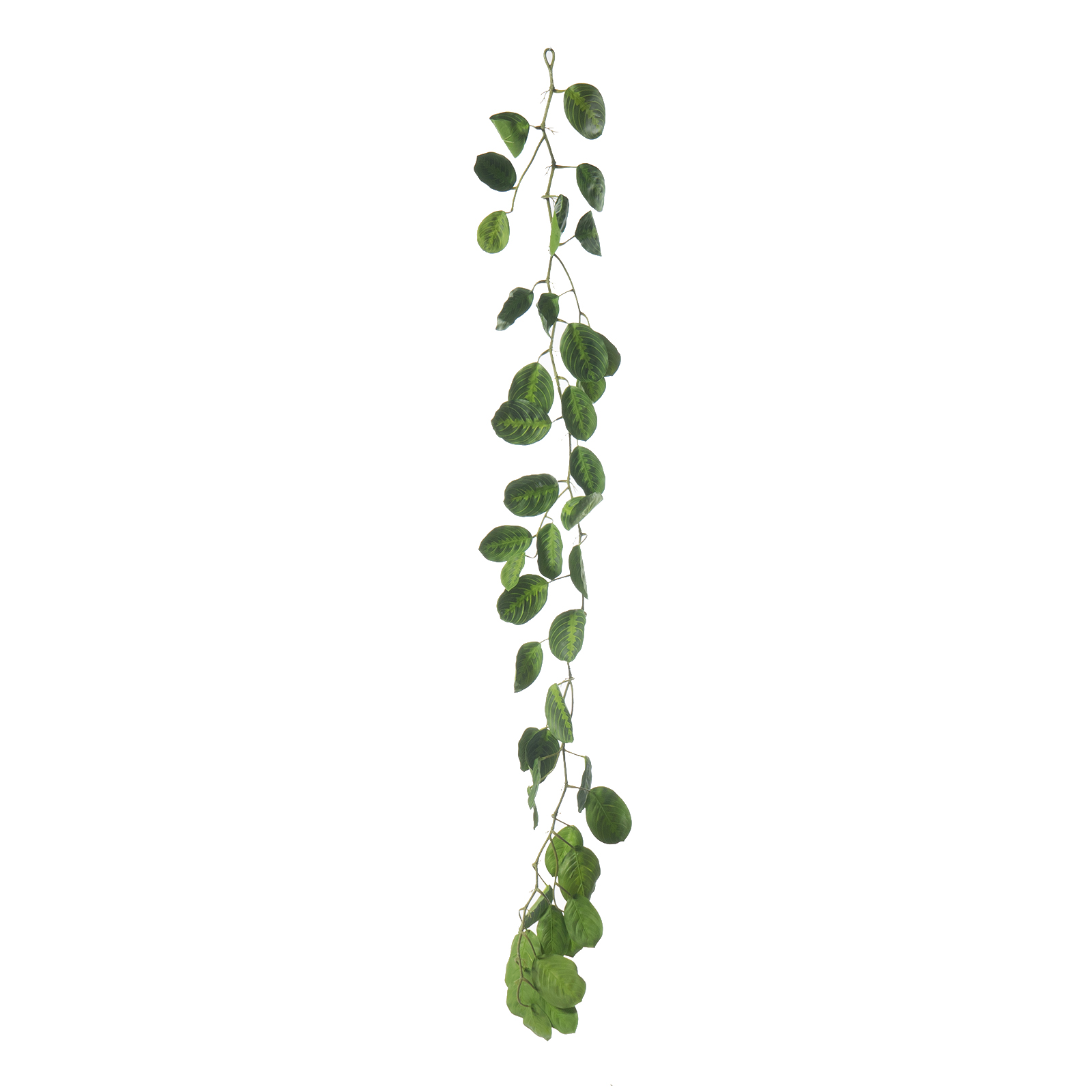 Supergreens Τεχνητή Γιρλάντα Καλαθέα "Maranta" Πράσινη 170 εκ. Supergreens Τεχνητή Γιρλάντα Καλαθέα "Maranta" Πράσινη 170 εκ.