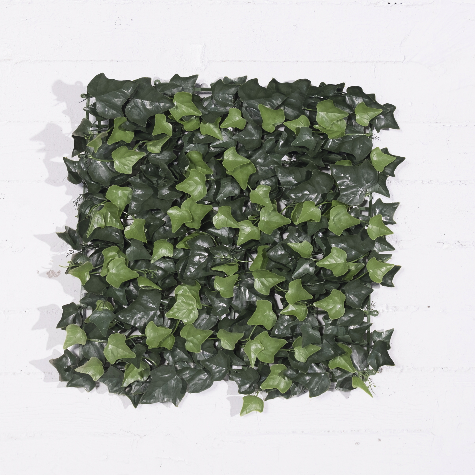 Supergreens Τεχνητή Φυλλωσιά Κισσός "Azorica" Πράσινη 50x50 εκ. Supergreens Τεχνητή Φυλλωσιά Κισσός "Azorica" Πράσινη 50x50 εκ.