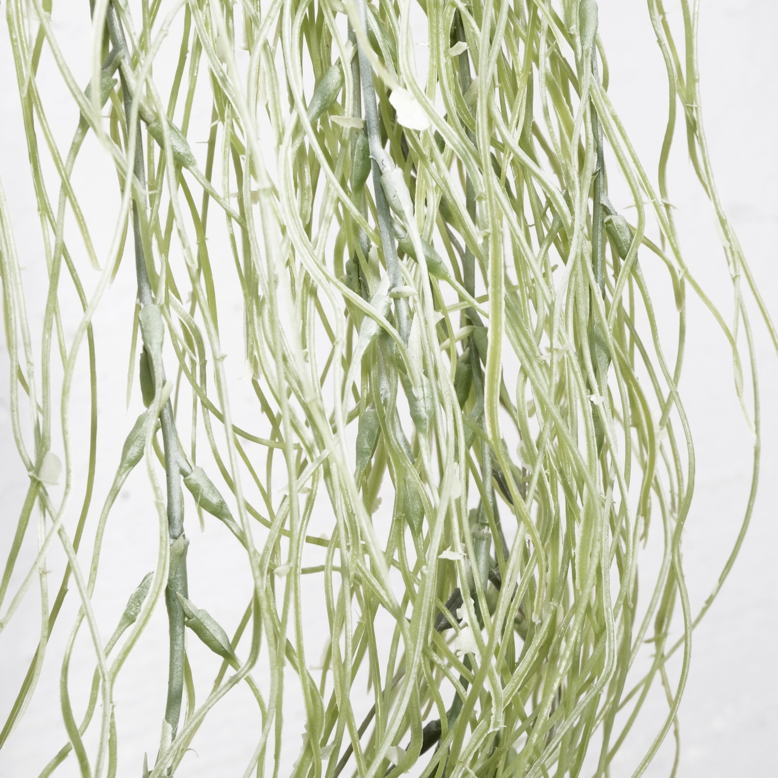 Supergreens Τεχνητή Κρεμαστή Ριψαλίδα Verdanus Πράσινη 90 εκ. Supergreens Τεχνητή Κρεμαστή Ριψαλίδα Verdanus Πράσινη 90 εκ.