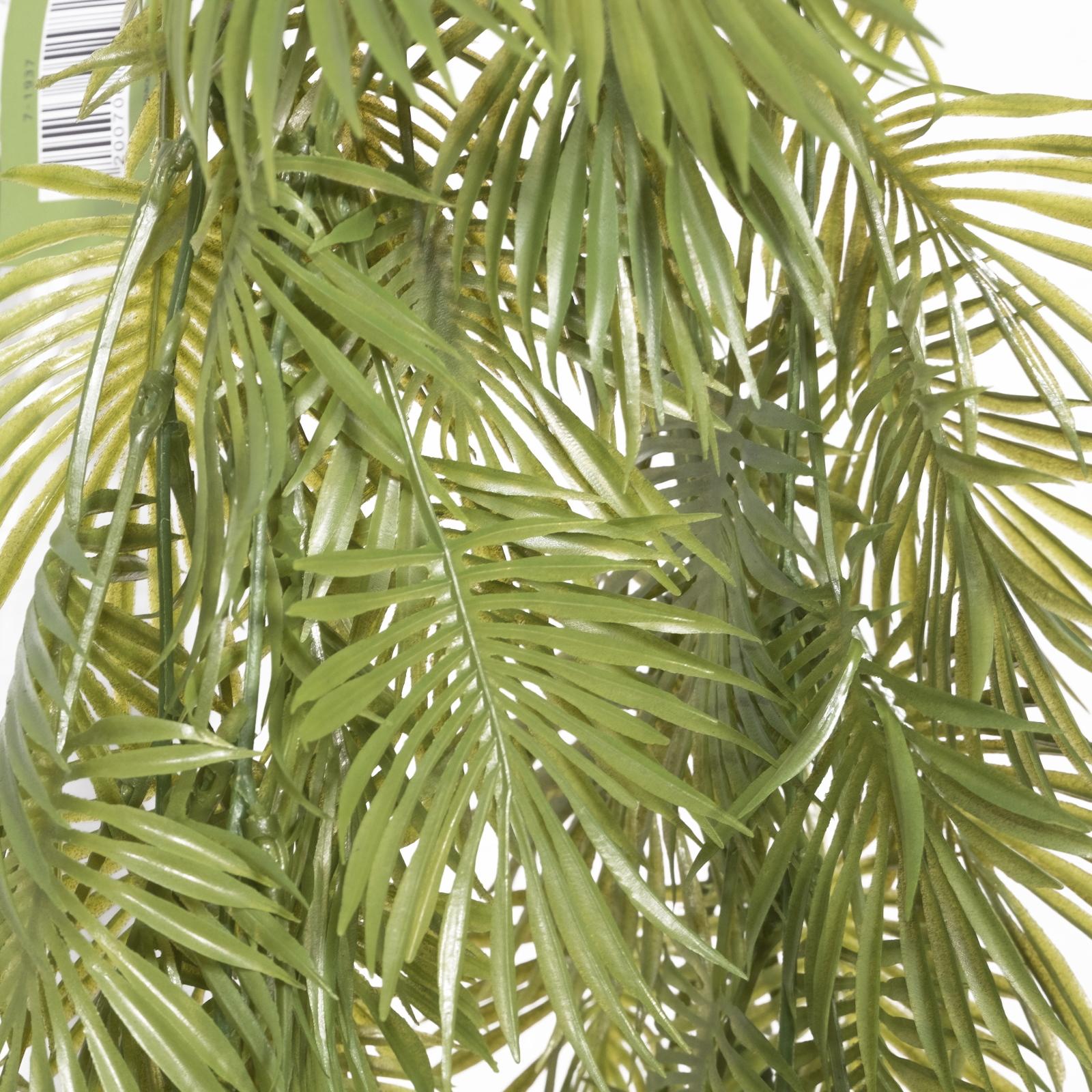 Supergreens Τεχνητό Κρεμαστό Φιλόδενδρο Xanadu "Tropicanthus" Πράσινο 110 εκ. Supergreens Τεχνητό Κρεμαστό Φιλόδενδρο Xanadu "Tropicanthus" Πράσινο 110 εκ.