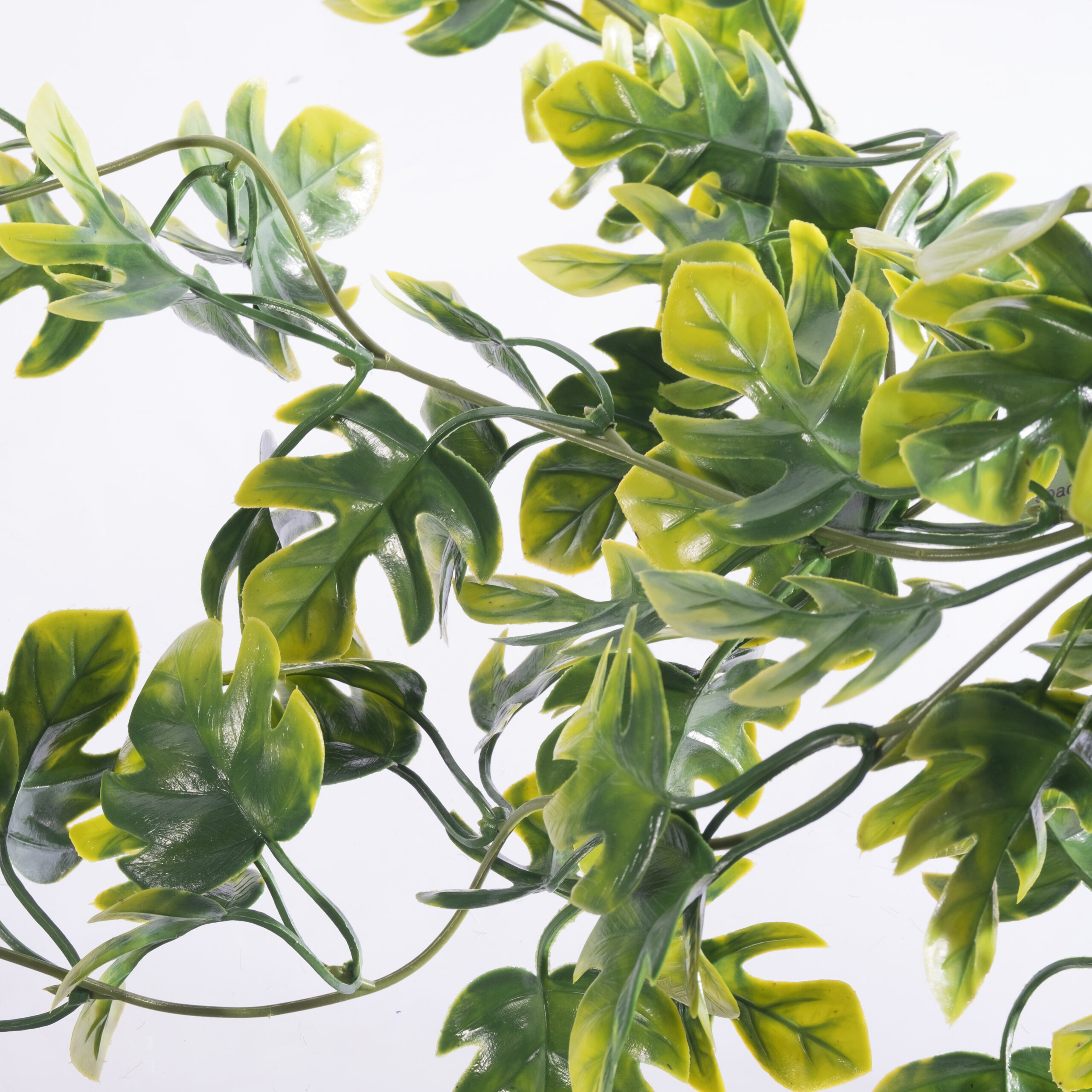 Supergreens Τεχνητό Φυτό Φίλόδενδρο Xanadu Πανασέ Πράσινο 64 εκ. Supergreens Τεχνητό Φυτό Φίλόδενδρο Xanadu Πανασέ Πράσινο 64 εκ.