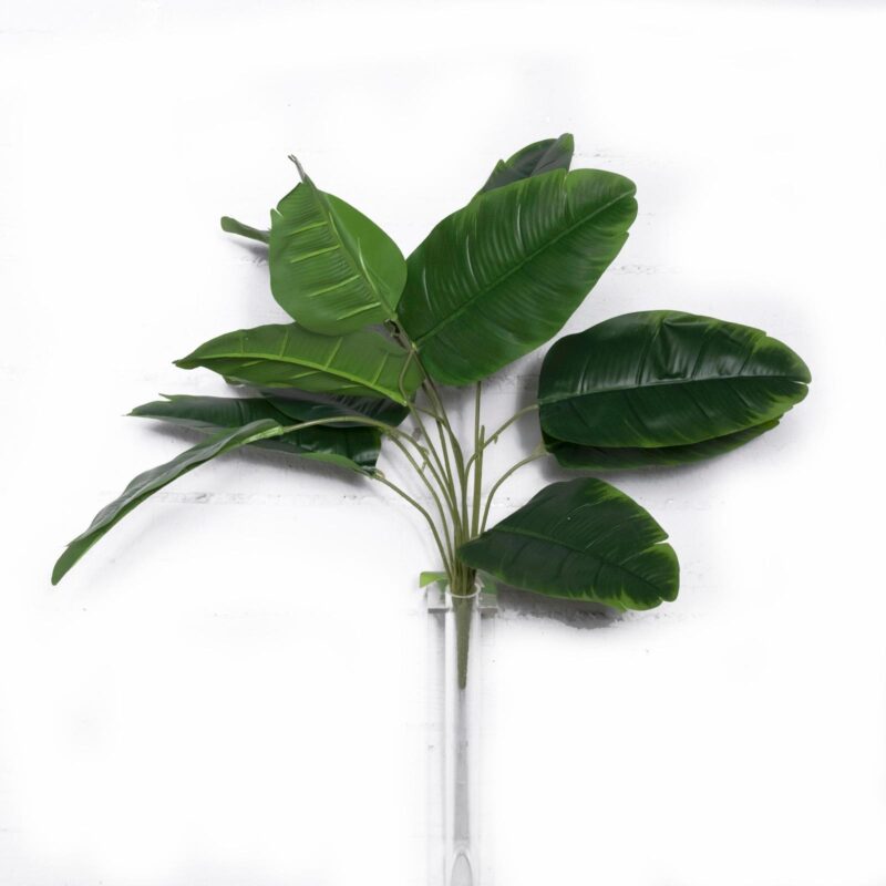 Supergreens Τεχνητή Χωνευτή Μπανανιά Πράσινη 65 εκ.
