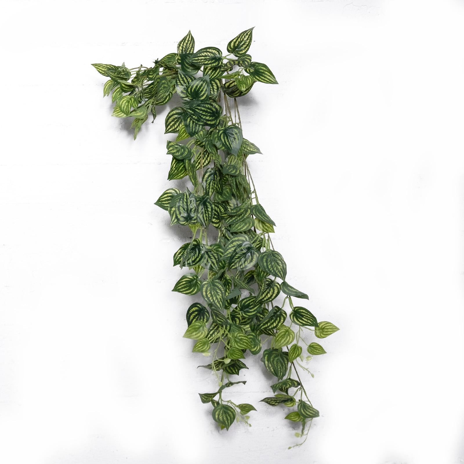 Supergreens Τεχνητή Κρεμαστή Φιτόνια Albivenis Πράσινη 110 εκ. Supergreens Τεχνητή Κρεμαστή Φιτόνια Albivenis Πράσινη 110 εκ.