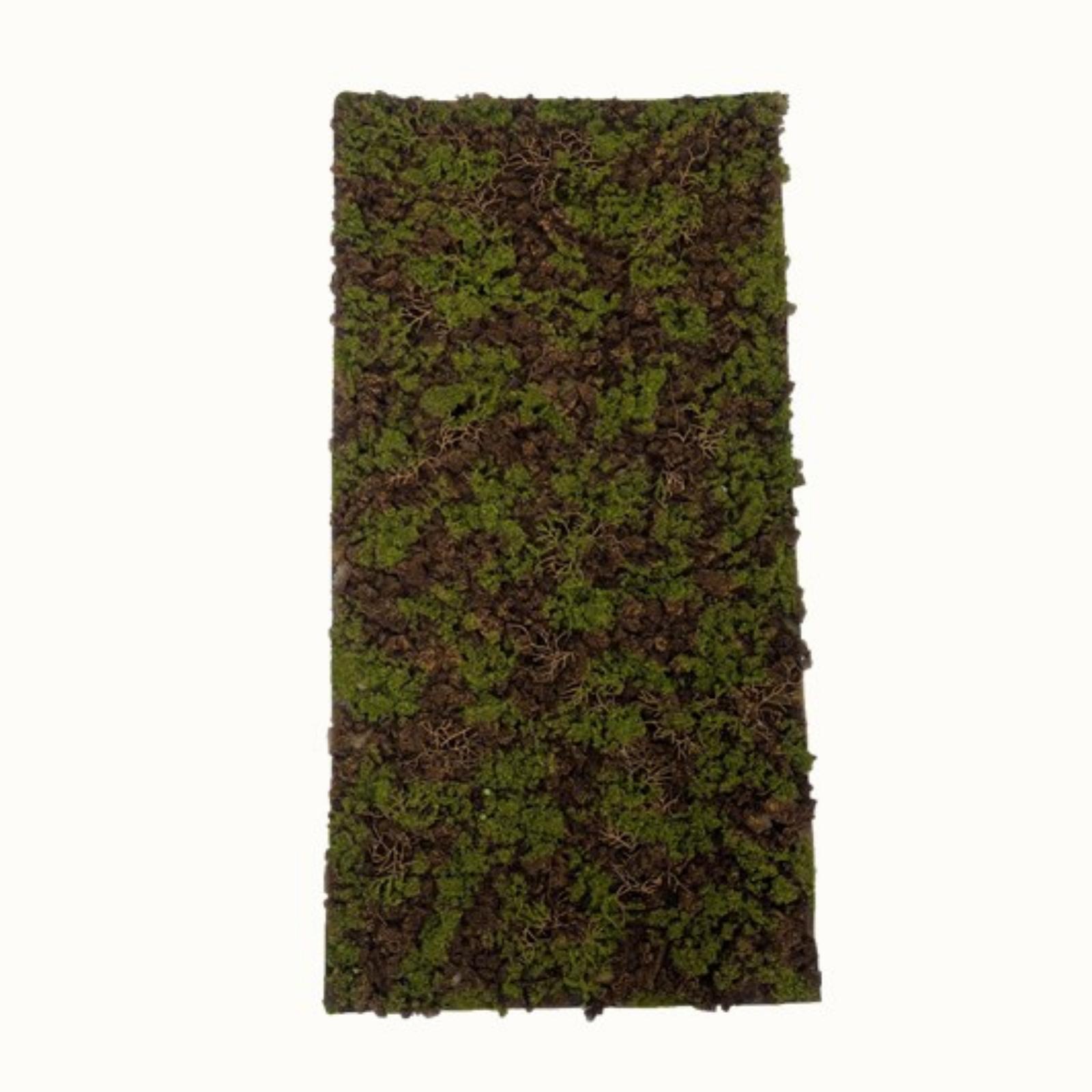 Supergreens Τεχνητή Φυλλωσιά Moss "Gaia" Πράσινο με Μαύρο 50x100 εκ. Supergreens Τεχνητή Φυλλωσιά Moss "Gaia" Πράσινο με Μαύρο 50x100 εκ.