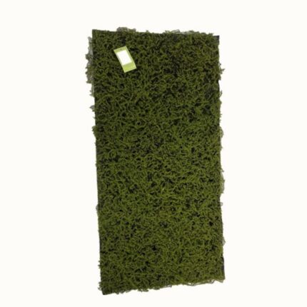 Supergreens Τεχνητή Φυλλωσιά Moss "Peace" Πράσινη 50x100 εκ.