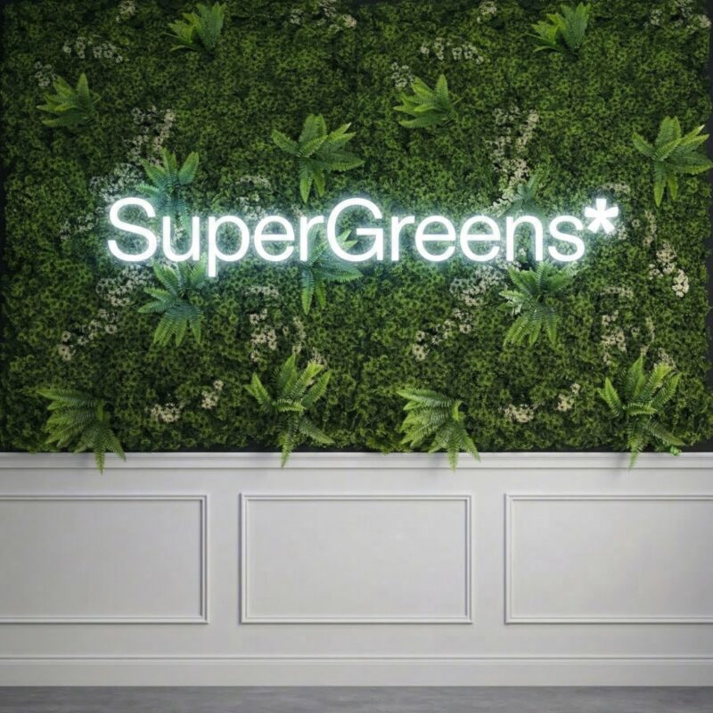 Supergreens Τεχνητή Φυλλωσιά Moss "Silva Luminis" Πράσινη 100x100 εκ.