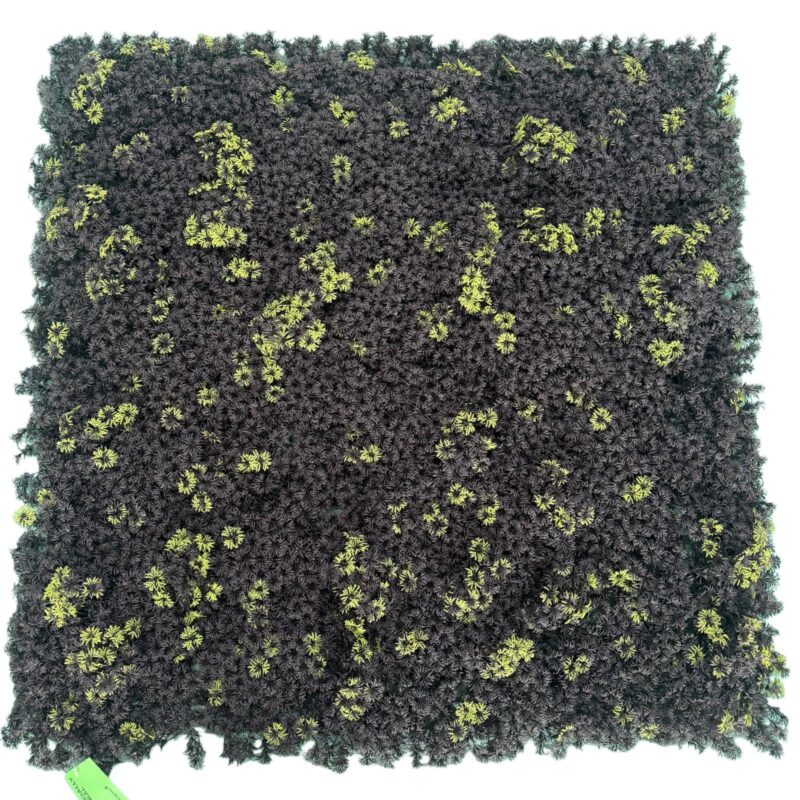 Supergreens Τεχνητή Φυλλωσιά Moss "Ombra Chiara" Μαύρη 100x100 εκ.