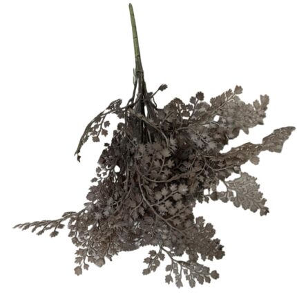 Supergreens Τεχνητή Χωνευτή Φτέρη "Dark Root" Καφέ 40 εκ.