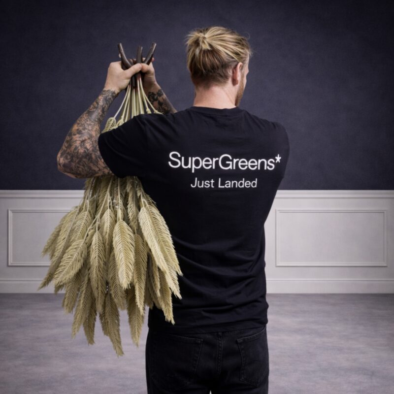 Supergreens Τεχνητή Χωνευτή Φτέρη "Ivory Fern" Εκρού 38 εκ.