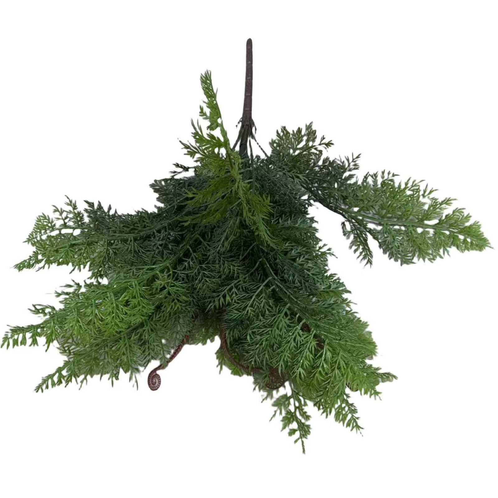 Supergreens Τεχνητή Χωνευτή Φτέρη Asparagus "Asparagus Soft" Πράσινη 54 εκ. Supergreens Τεχνητή Χωνευτή Φτέρη Asparagus "Asparagus Soft" Πράσινη 54 εκ.