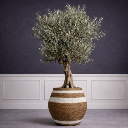 Supergreens Γλάστρα Τσιμεντένια Στρογγυλή "Kyma Pithos" Δίχρωμη 39x39x41 εκ.
